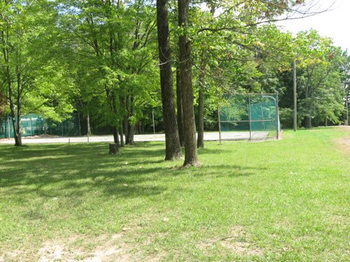 Property photo 21 - 27 Acres offered in 2 Tracts or Combination, Former U.A.W. Hall